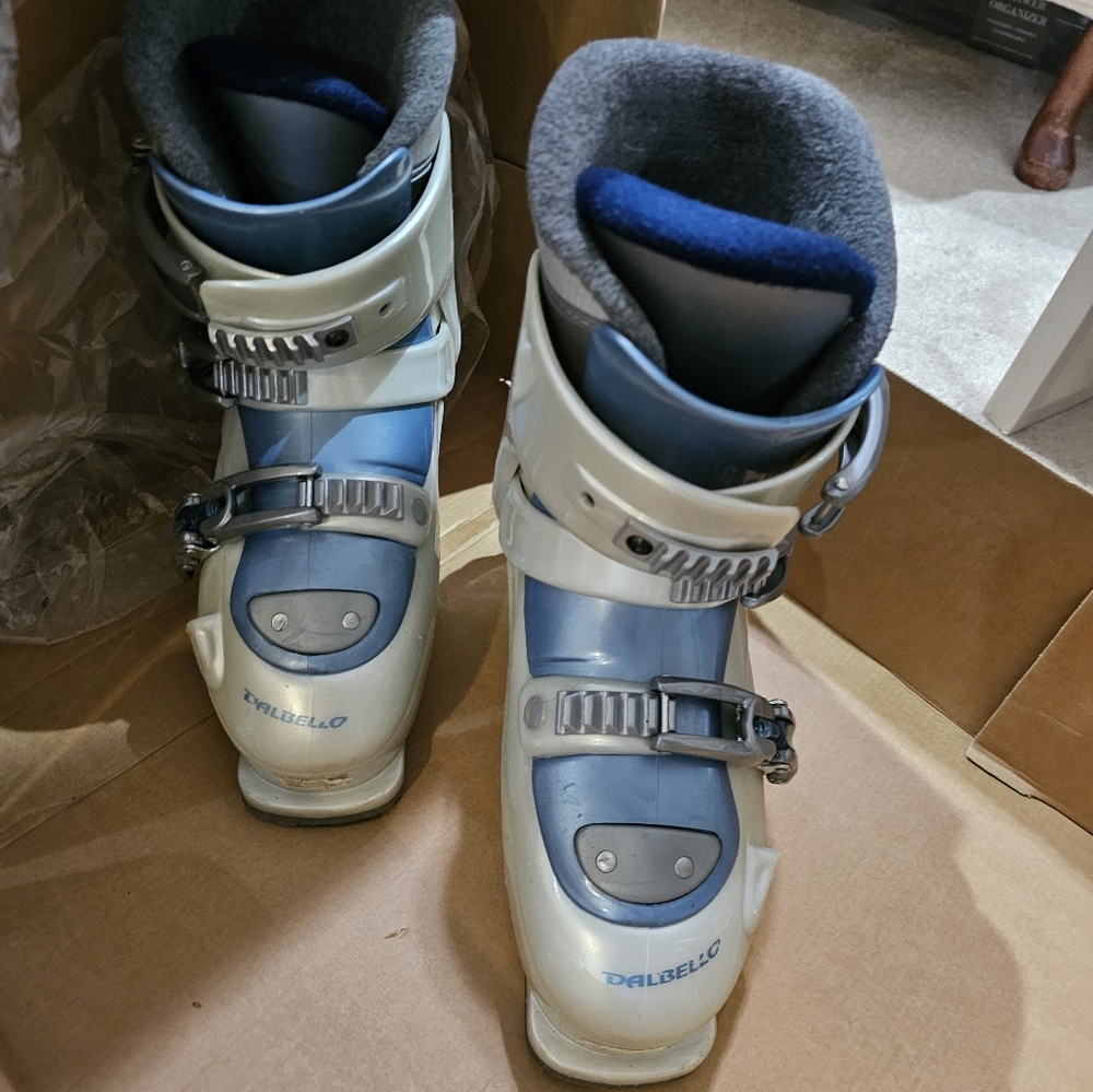 Ski Boots - image 1